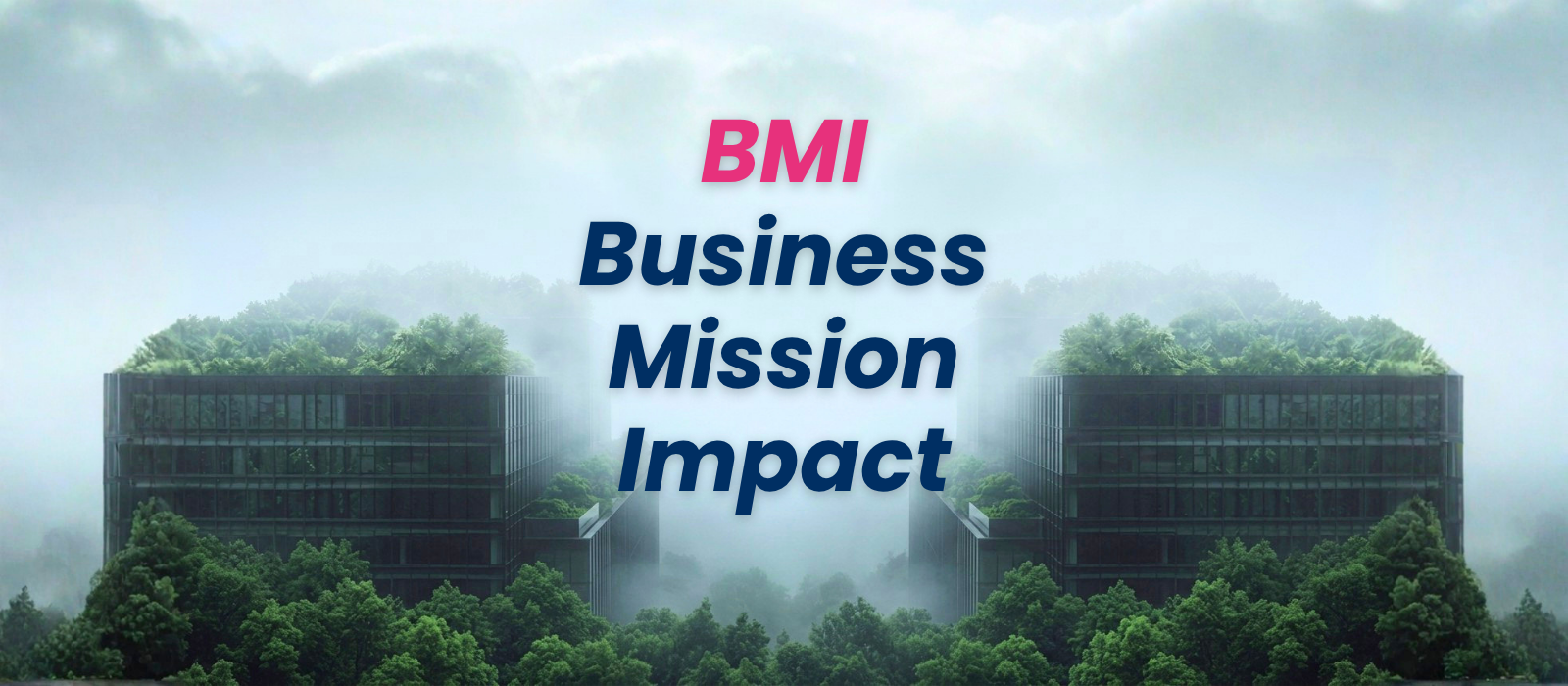 bmi