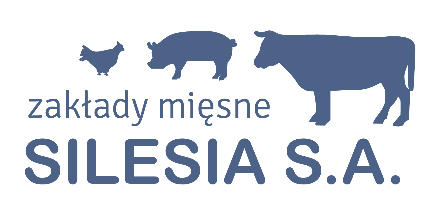 ZM Silesia